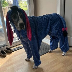 Great Dane Eeyore Dog Costume
